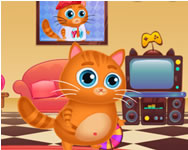 Hello Kitty - Lovely virtual cat